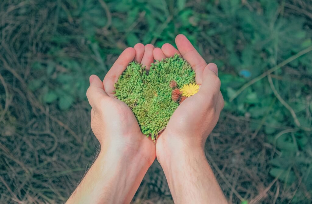 pexels-photo-1230157-1230157 Hands in a natural setting holding heart-shaped moss, symbolizing love for nature.